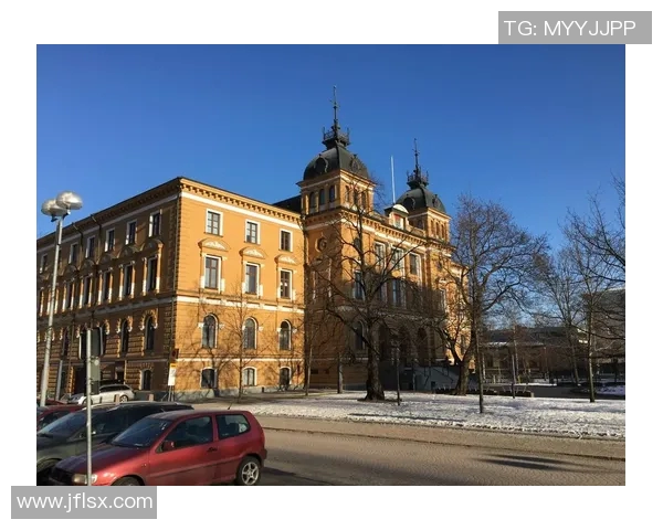 奥卢与科高拉的精彩对决揭示芬兰足球的魅力与竞争力 奥卢与科高拉的精彩对决揭示芬兰足球的魅力与竞争力